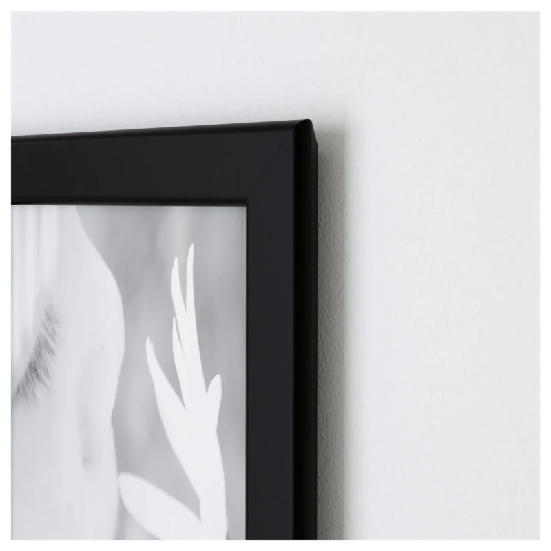 IKEA FISKBO 50cm X 70cm Siyah Çerçeve - Görsel 4